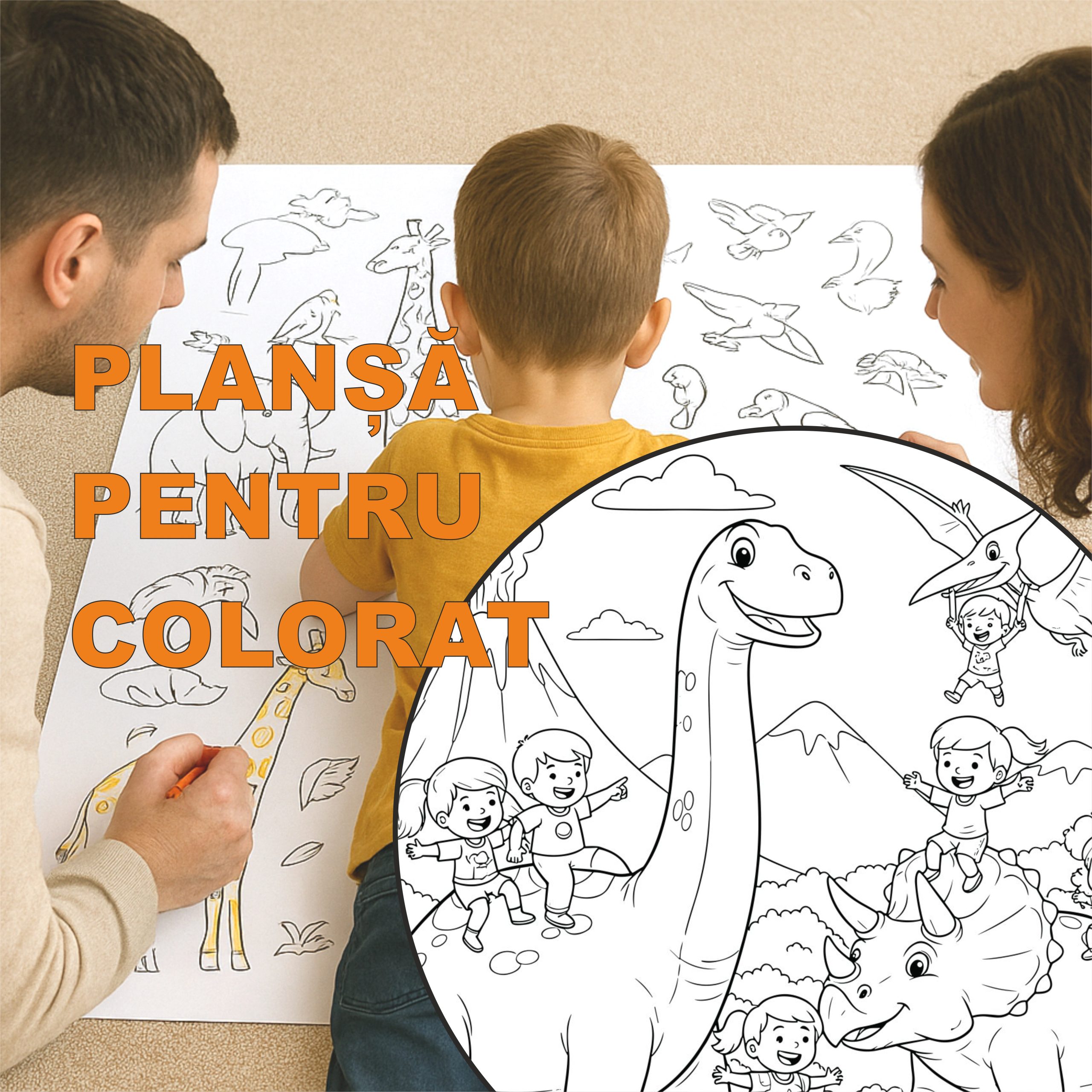 MONTAJ IMAGINI PLANSE SITE