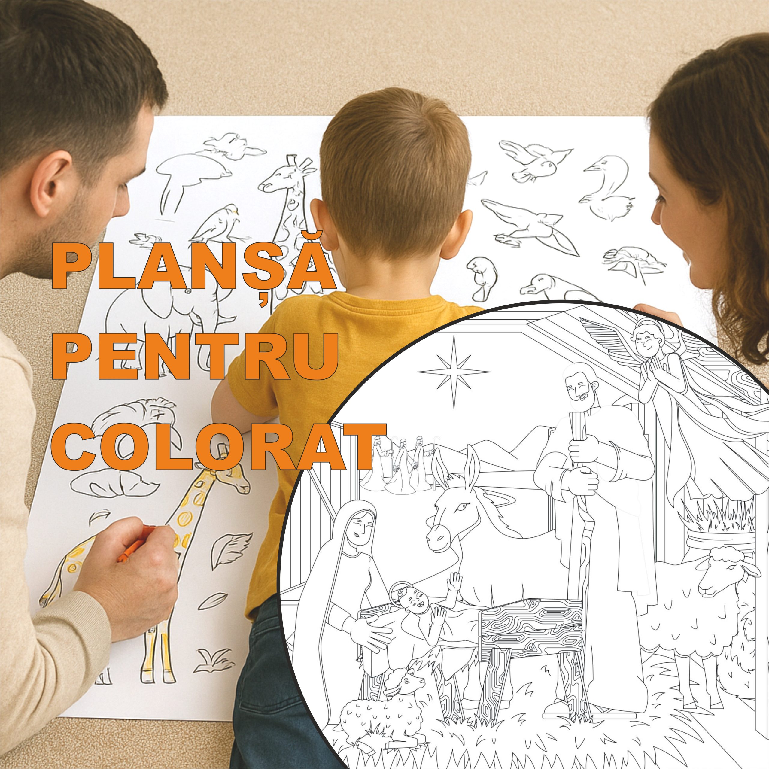 MONTAJ IMAGINI PLANSE SITE4