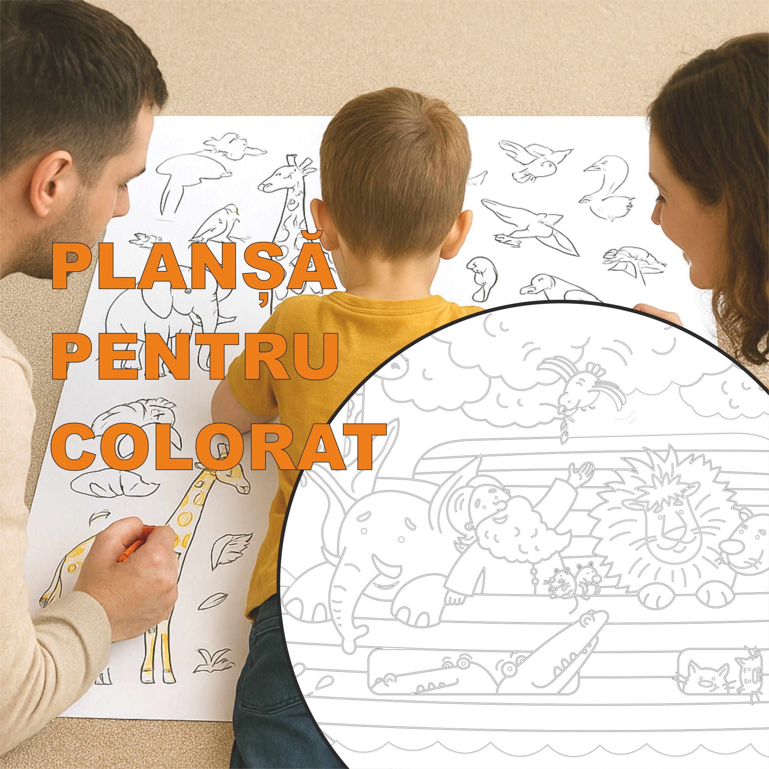 MONTAJ IMAGINI PLANSE SITE5